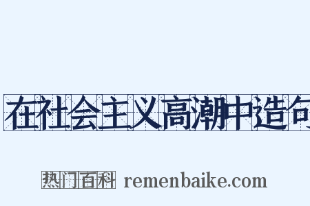 在社会主义高潮中造句是什么意思的图片